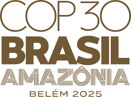 CEMUNE is providing the COP30 Leadership Team with Negotiation Support on the Road to Belém