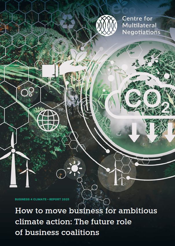 Project Preview - Business4Climate (B4C) Report 2025: “How to Move Business for Ambitious Climate Action: The Future Role of Business Coalitions.”