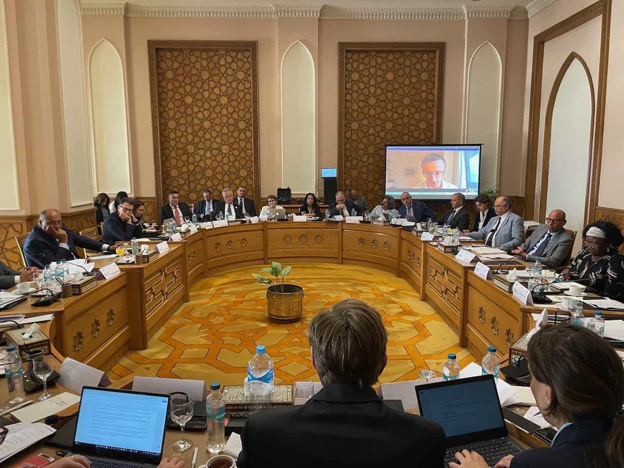 COP27 Presidency workshop in Cairo with the Foreign Minister of Egypt